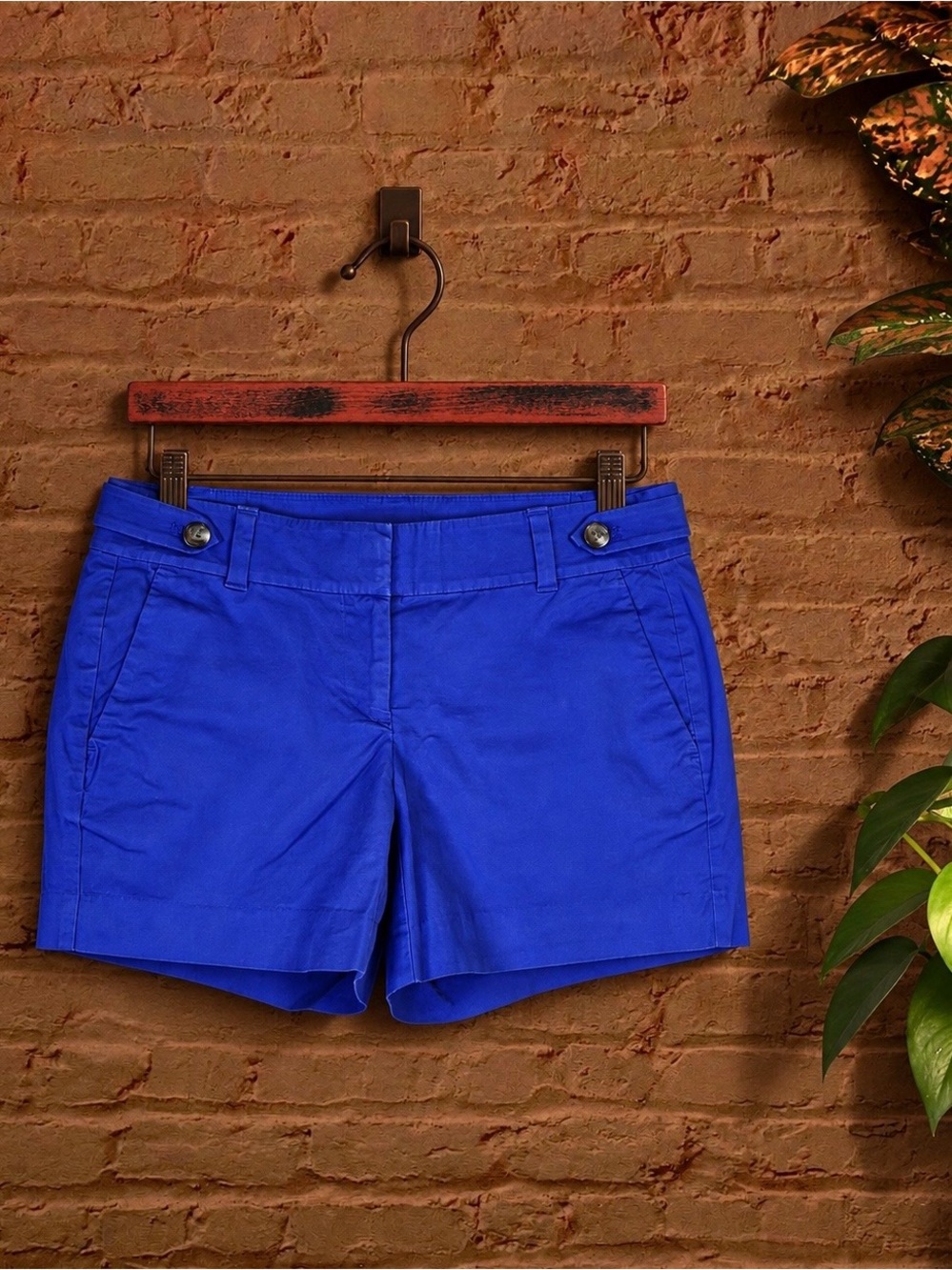 Ann Taylor Cobalt Blue Tailored Chino Shorts Women’s Size 0